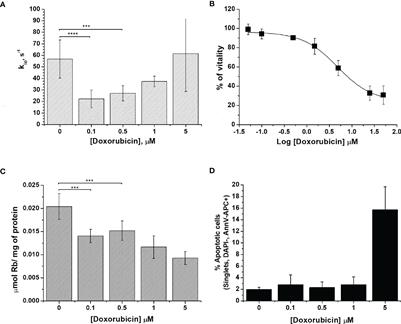 Intracellular Water Lifetime as a Tumor Biomarker to Monitor Doxorubicin Treatment via FFC-Relaxometry in a Breast Cancer Model